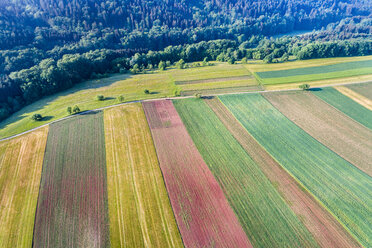 Germany, Baden-Wuerttemberg, Rems-Murr-Kreis, Swabian Franconian forest, Aerial view of fields - STSF01556