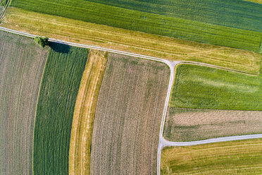 Germany, Baden-Wuerttemberg, Rems-Murr-Kreis, Aerial view of fields - STSF01557