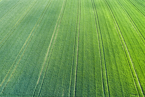 Germany, Baden-Wuerttemberg, Rems-Murr-Kreis, Aerial view of green field stock photo