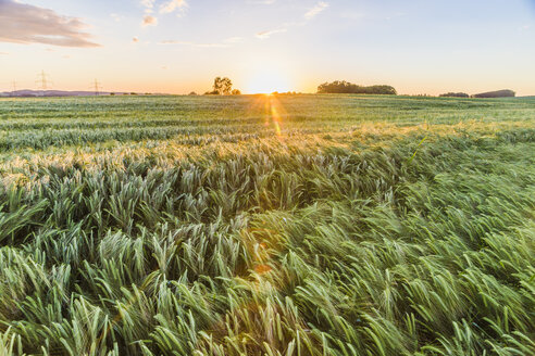 Österreich, Innviertel, Feld gegen Morgensonne - AIF00485