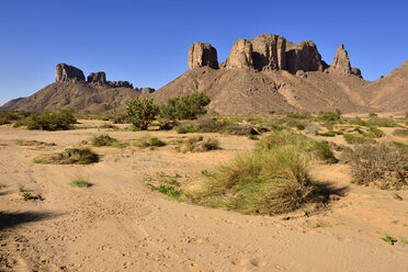 Algerien, Nationalpark Tassili N'Ajjer, Oued, Wadi Essendilene - ESF01665