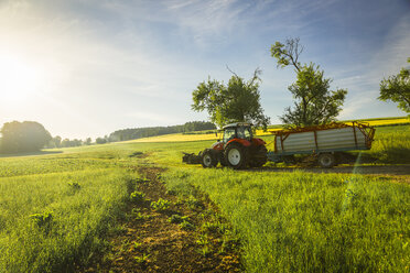 Austria, Innviertel, fieldscape with tractor at morning light - AIF00494