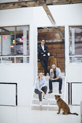 Porträt eines männlichen und weiblichen Designteams mit Hund auf der Treppe eines Designstudios - CUF06915