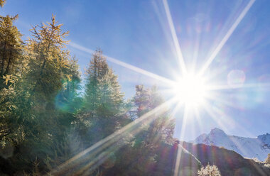 Die Sonne über dem Lärchenwald in den Schweizer Alpen, Simply Pass, Wallis, Schweiz - CUF07343