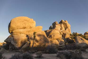 Felsformationen bei Sonnenuntergang im Joshua Tree National Park in der Abenddämmerung, Kalifornien, USA - CUF07386