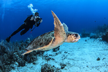 Diver photographing turtle - CUF07551