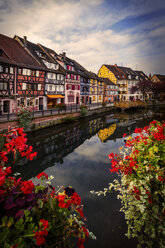 Traditional houses on canal waterfront, Colmar, Alsace, France - CUF07560