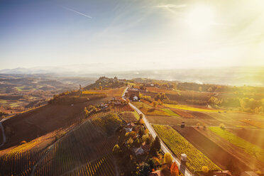 Sunlit view from hot air balloon of rolling landscape and autumn vineyards, Langhe, Piedmont, Italy - CUF07569
