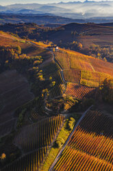 Blick aus dem Heißluftballon auf hügelige Landschaft und herbstliche Weinberge, Langhe, Piemont, Italien - CUF07570