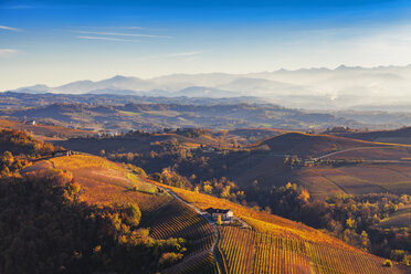 Blick aus dem Heißluftballon auf hügelige Landschaft und herbstliche Weinberge, Langhe, Piemont, Italien - CUF07571