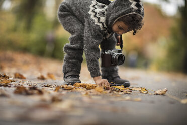 Junges Mädchen im Freien, mit Strickanzug, sammelt Herbstblätter - CUF07923