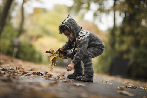 Junges Mädchen im Freien, mit Strickanzug, sammelt Herbstblätter - CUF07924