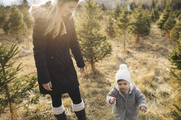 Mutter und kleines Mädchen in einer Weihnachtsbaumfarm, Cobourg, Ontario, Kanada - ISF01827