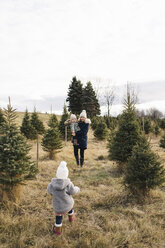 Mother and baby girls in Christmas tree farm, Cobourg, Ontario, Canada - ISF01828