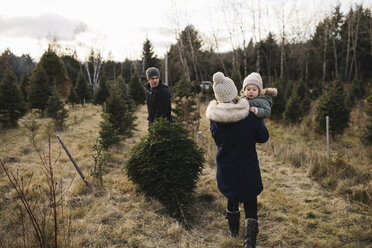 Eltern und kleines Mädchen in einer Weihnachtsbaumfarm, Cobourg, Ontario, Kanada - ISF01830