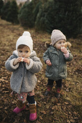 Kleine Mädchen essen Brot im Wald - ISF01832