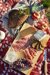 Blick von oben auf frisches Picknick-Essen mit Käse, Salami und Weintrauben - ISF01845