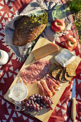 Overhead view of fresh picnic food with cheese, salami and grapes - ISF01845