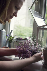 Ausgeschnittene Aufnahme einer Frau, die eine Topfpflanze auf der Fensterbank pflegt - ISF01923