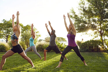 Male and female adults practicing yoga in park, in warrior 2 pose - ISF01972