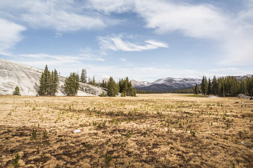 Landschaft mit fernen Bergen, Yosemite National Park, Kalifornien, USA - CUF07983