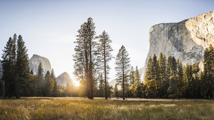 Wiese und Felsformationen bei Sonnenuntergang, Yosemite National Park, Kalifornien, USA - CUF07989