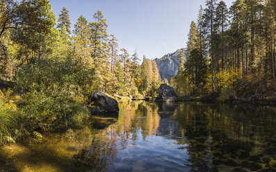Landschaftsansicht mit Waldfluss, Yosemite National Park, Kalifornien, USA - CUF07991