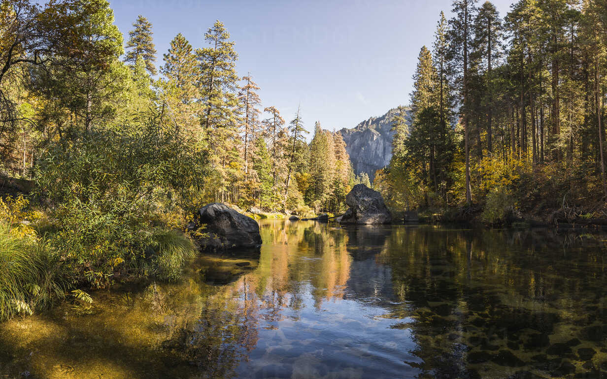 Landscape view with forest river, Yosemite National Park, California, USA  stock photo