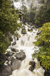 Wasserfall im Felsenwald, Yosemite-Nationalpark, Kalifornien, USA - CUF07998
