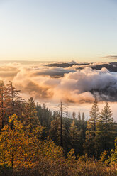 Blick von oben auf den Nebel über dem Talwald bei Sonnenaufgang, Yosemite-Nationalpark, Kalifornien, USA - CUF08002