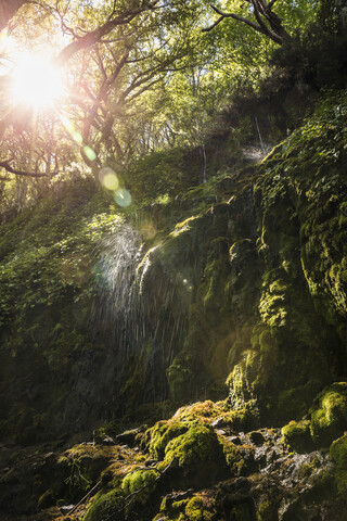 Wasserfall plätschert auf Moos im sonnenbeschienenen Wald, Nationalreservat Coyhaique, Provinz Coyhaique, Chile, lizenzfreies Stockfoto