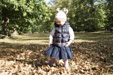 Weibliches Kleinkind, das zwischen Herbstblättern im Park herumtollt - CUF08330