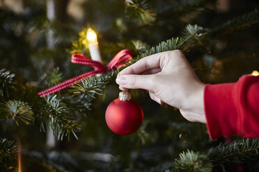 Junge Frau hängt Christbaumkugel an den Weihnachtsbaum, Nahaufnahme - CUF08396