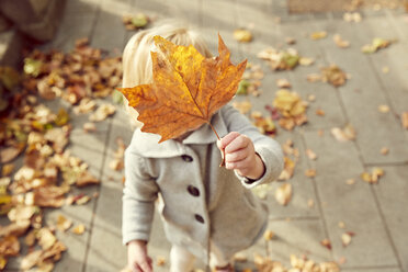 Girl holding autumn leaf in front of face - CUF08491