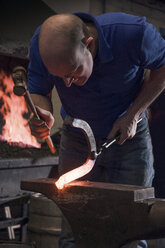 Farrier forging horseshoe on anvil - CUF08589