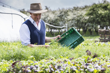 Farmer harvesting plants - CUF08782