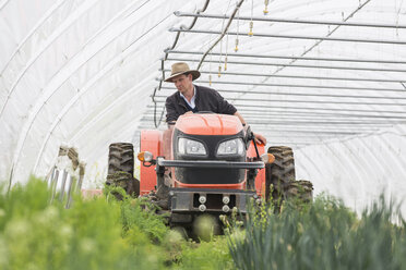 Landwirt fährt Traktor im Polytunnel - CUF08793