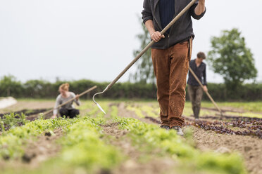 Cropped view of farmer hoeing vegetable garden - CUF08796