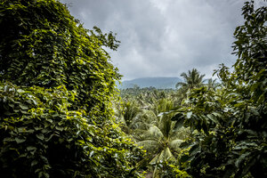 Thailand, Koh Phangan, Landschaft bei stürmischer Atmosphäre - MMIF00065