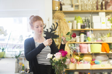 Florist arrangiert Blumen im Geschäft - CUF09040