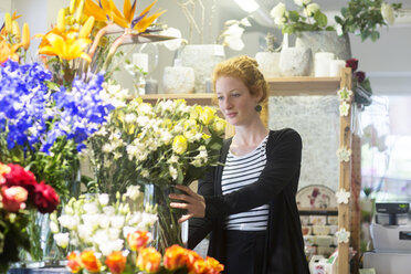 Florist wählt Blumen im Geschäft aus - CUF09045