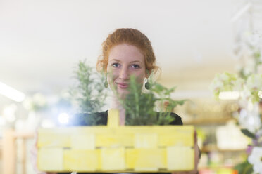 Florist bei der Arbeit mit Topfpflanzen - CUF09046