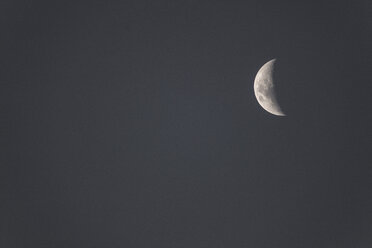 Night sky with half moon - ZEF15491