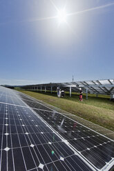 Zwei Arbeiter verlegen Hochspannungskabel in einer Solaranlage - CVF00540