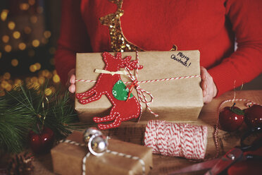 Cropped view of woman holding christmas present - CUF09639