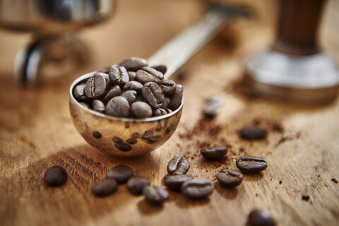 Nahaufnahme geröstete Kaffeebohnen im Messbecher, lizenzfreies Stockfoto