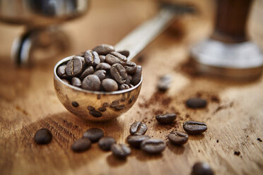 Close up roasted coffee beans in measuring cup scoop - CAIF20548
