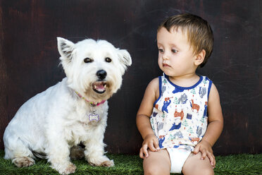 Porträt eines niedlichen weißen Hundes und eines starrenden männlichen Kleinkindes, das im Garten sitzt - CUF10039