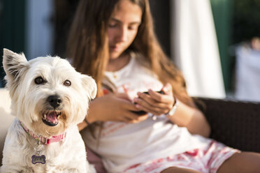 Portrait of cute white dog and teenage girl looking at her smartphone on patio chair - CUF10040