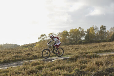 Male mountain biker biking down moorland track - CUF10114